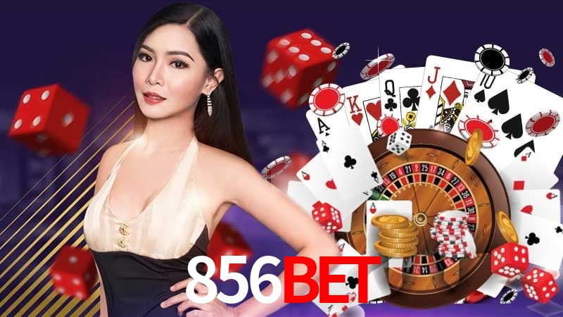 Crash Games Statistics 856bet